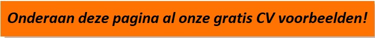 onderaan-de-pagina-voorbeeld-cv